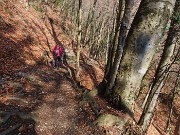 16 Dopo i carpini neri ecco alti faggi secolari 